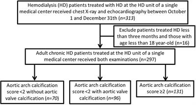 Association of aortic arch and aortic valve calcifications with cardiovascular risk in patients on maintenance hemodialysis